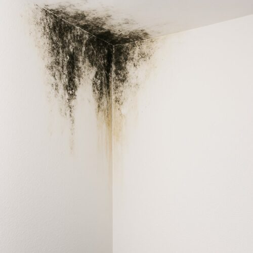 canasolutions-plombier-perpignan-debouchage-deracinage-fuite-urgence-canalisations-tuyauterie-chemisage-66